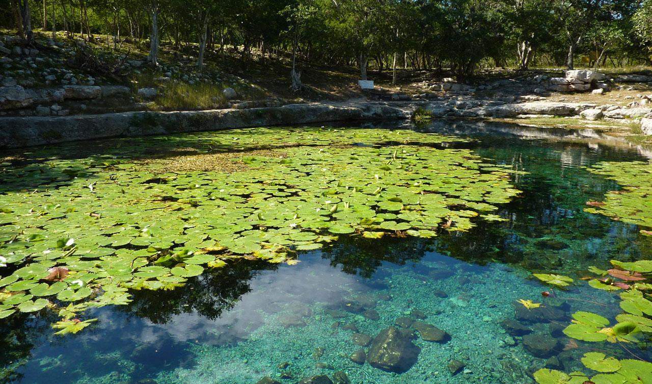 Parque Nacional Dzibilchalt N M Xico Gu A De Viaje E Historia Maya