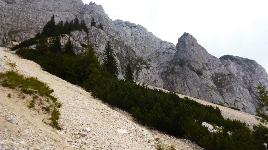 Grohotisuri en el Parque Nacional Piatra Craiului de Rumanía