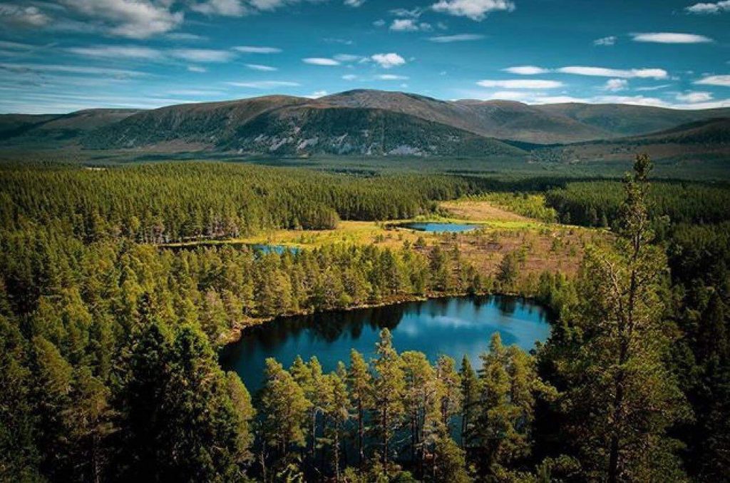 Ruta de Uath Lochans por el bosque de pinos de Glenfeshie, con vista panorámica de los lagos.