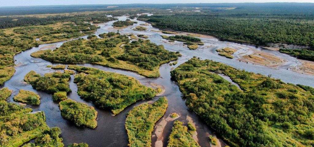 Alagnak Wild River (Río Salvaje Alagnak)