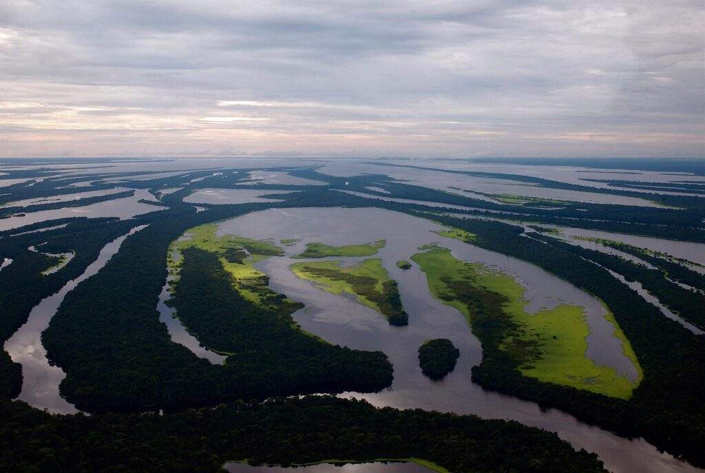 Parque Nacional de Anavilhanas