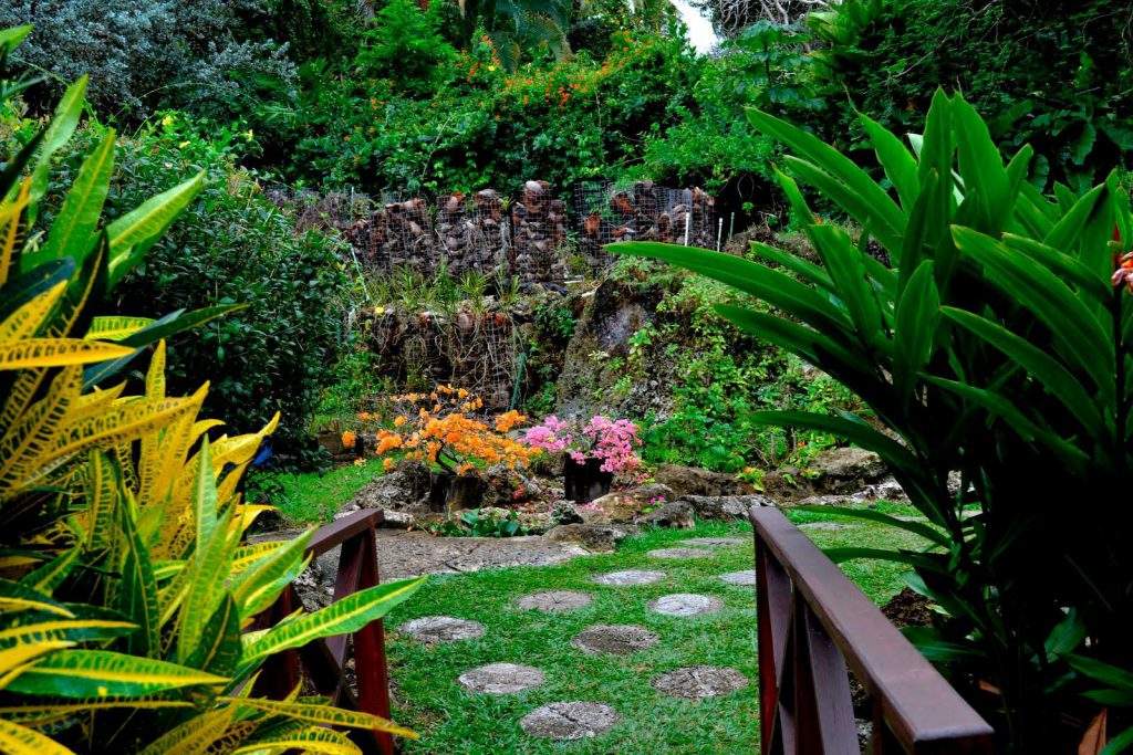 Jardín botánico Andrómeda en Barbados