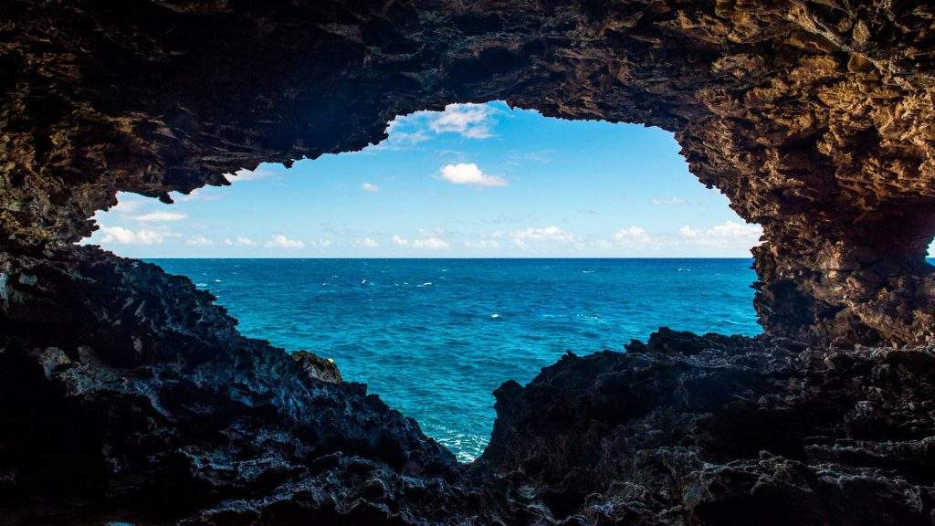 Cueva de Flores de Animales en Barbados