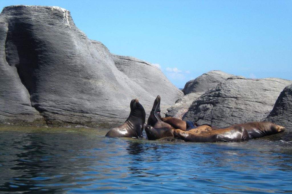 Parque Nacional Bahía de Loreto