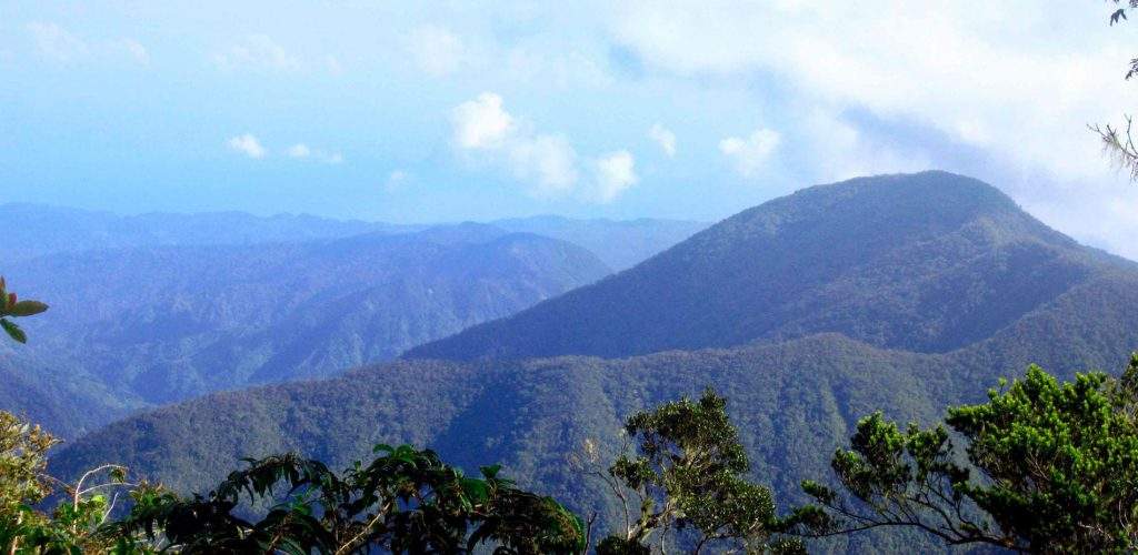 Parque Nacional Montes Blue y de John Crow