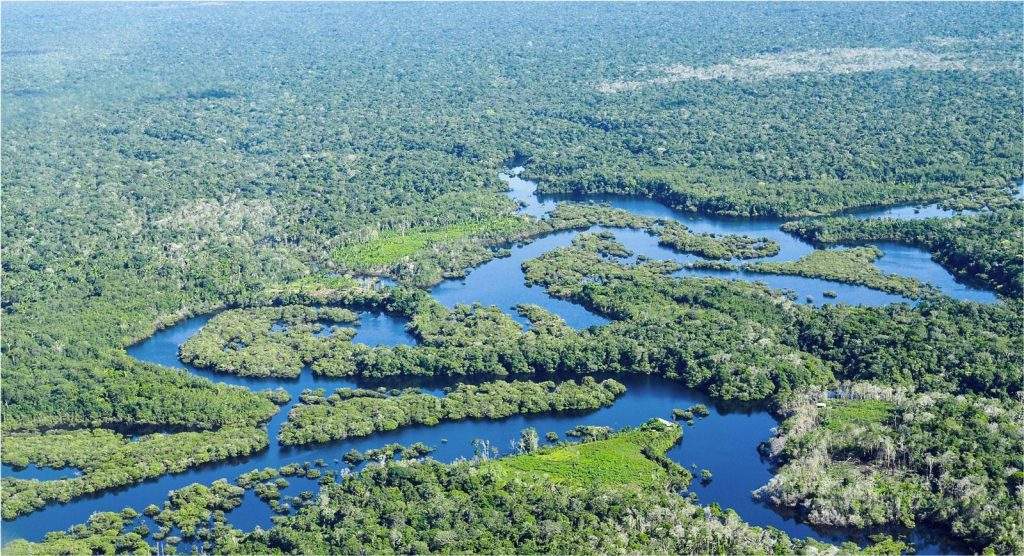 Bosque amazónico en Manus, Brasil