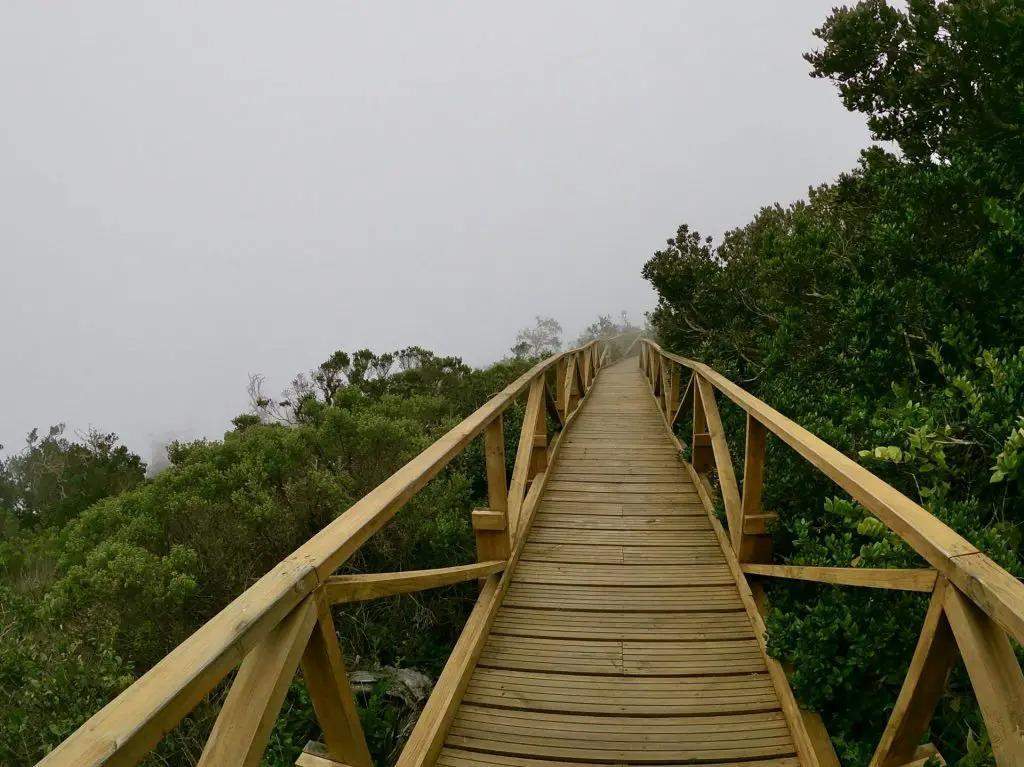 Parque Nacional Bosque Fray Jorge