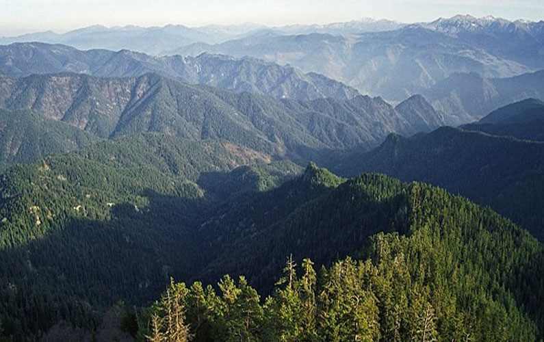 Blosque Lomi en el Parque Nacional de Borjomi-Kharagauli, Georgia