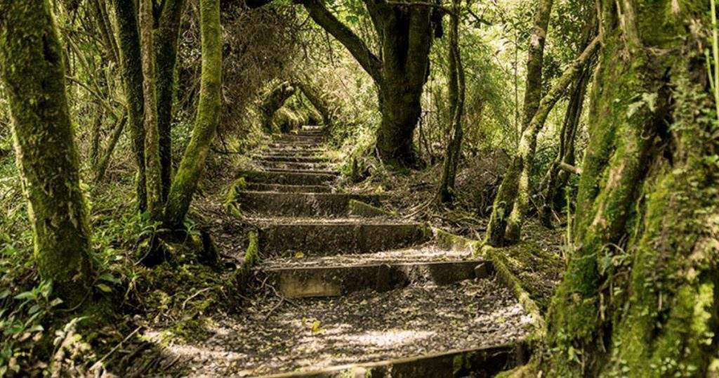 Parque Nacional Braulio Carrillo