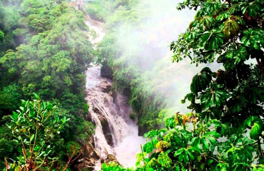 Parque Nacional Cañón del Río Blanco