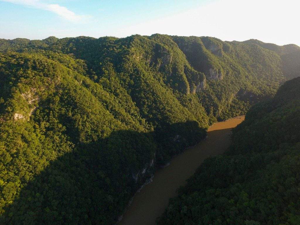 Área de protección de flora y fauna Cañón del Usumacinta