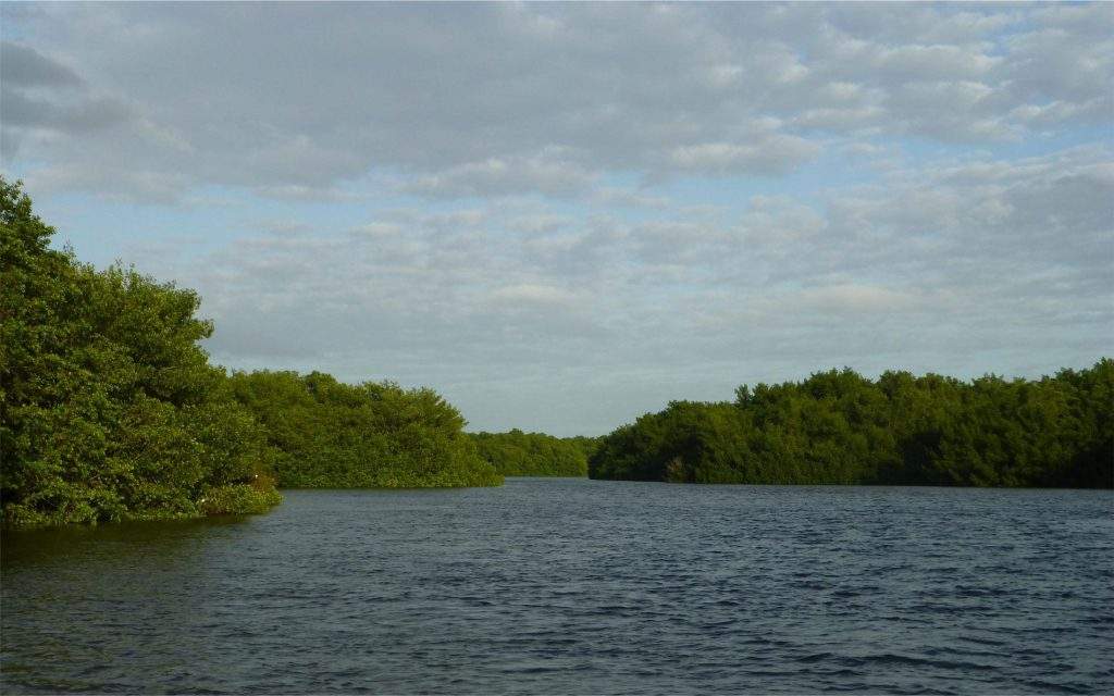 Parque Nacional Laguna de Caroni