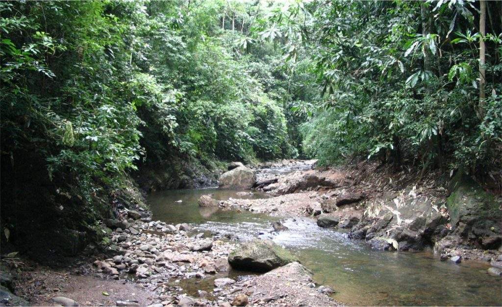 Parque Nacional Chagres