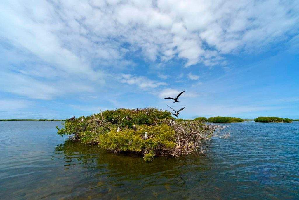 Parque Nacional de la Laguna de Codrington