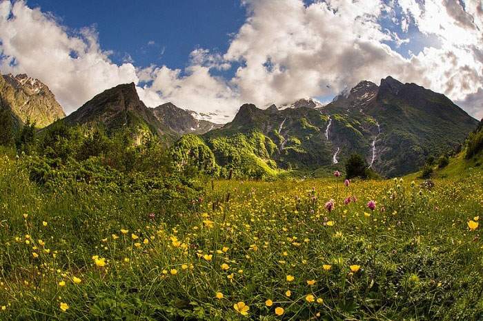 Flora del Parque Nacional Alania, Rusia