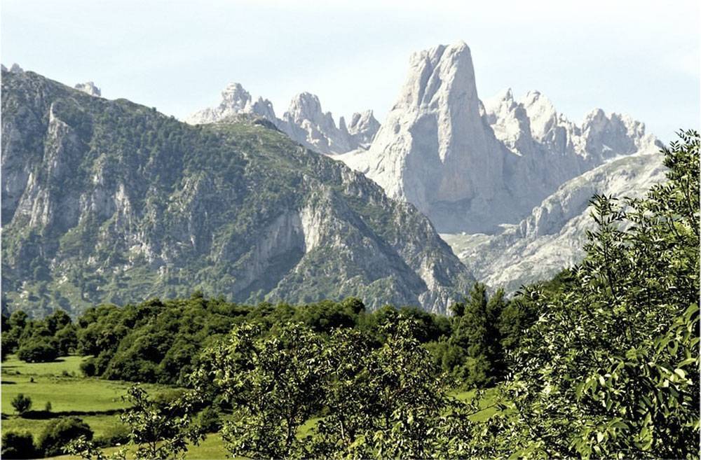 Flora del Parque Nacional de Picos de Europa