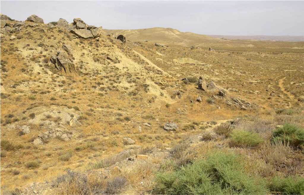 Flora y plantas del Parque Nacional Absheron en Azerbaiyán