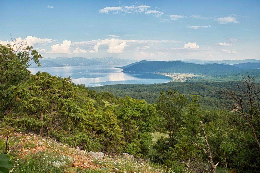 Flora silvestre del Parque nacional Prespa en Albania