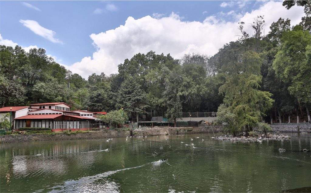 Parque Nacional Fuentes Brotantes de Tlalpan