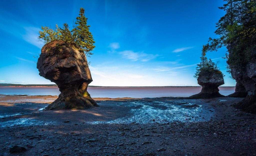 Parque Nacional Fundy