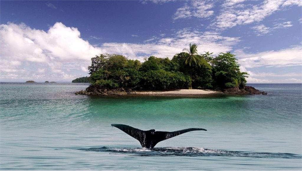 Parque Nacional Marino Golfo de Chiriquí