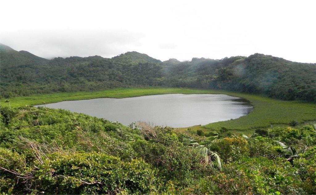 Parque Nacional Grand Etang