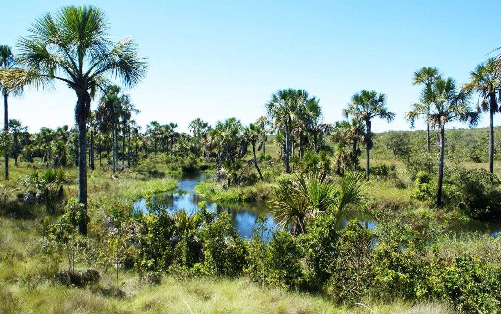 Parque Nacional Grande Sertão Veredas