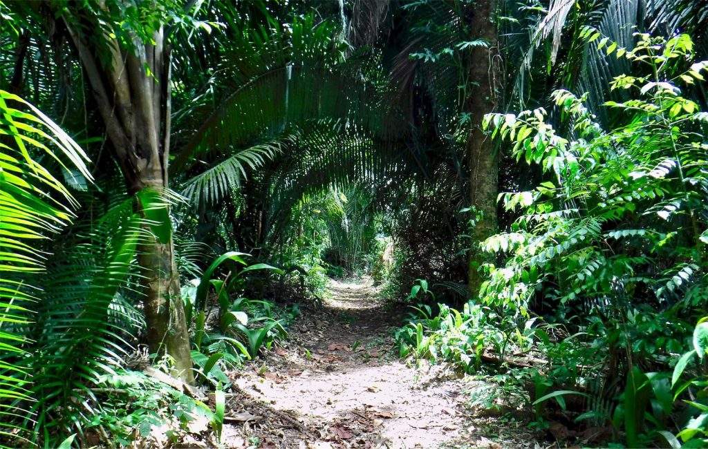 Guanacaste-Nationalpark