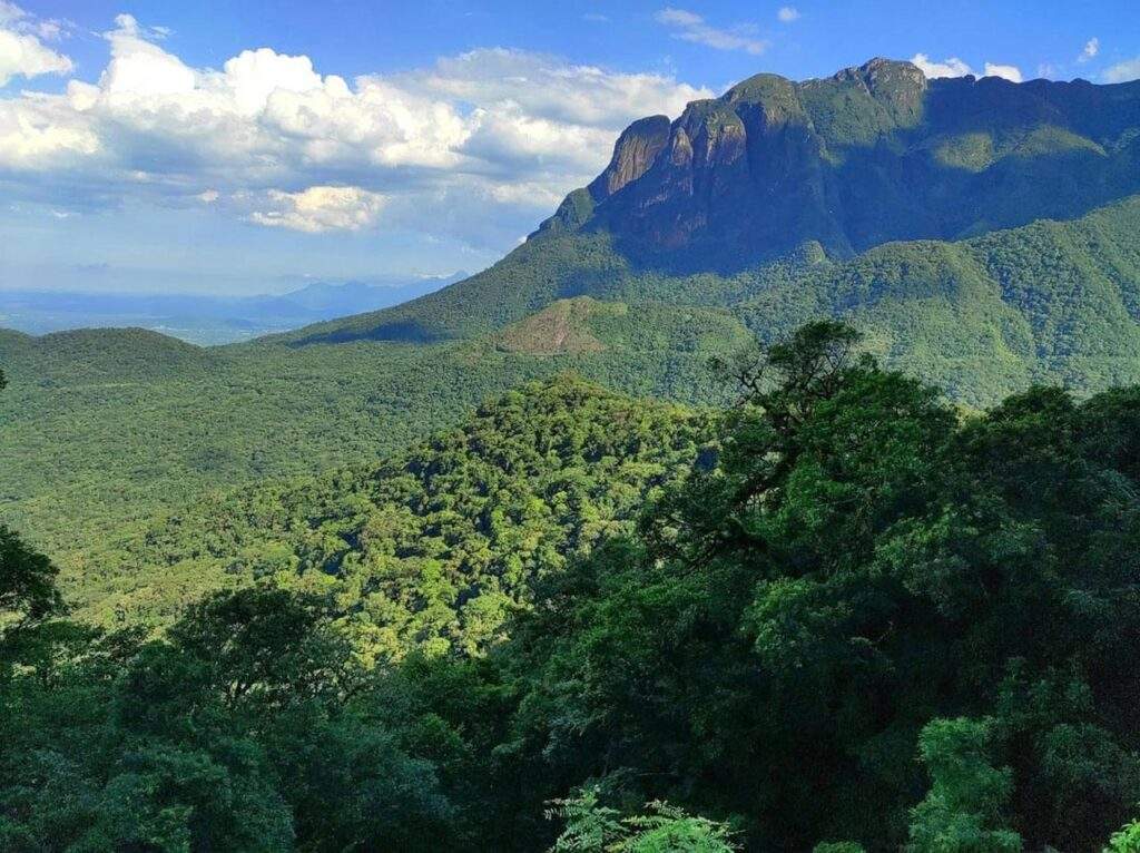 Parque Nacional Guaricana