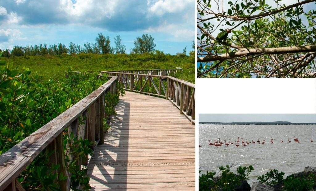 Parque Nacional Harold & Wilson Ponds