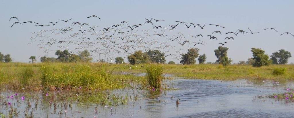 Humedales de Interés Internacional y Sitios Ramsar Chad