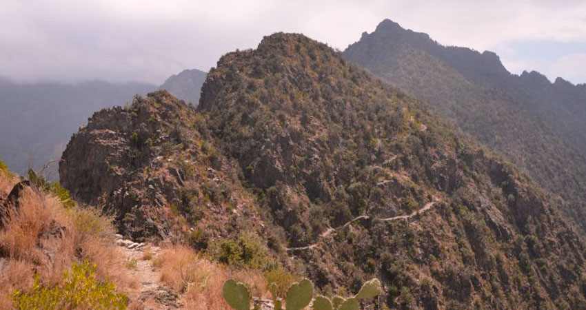 Jabal Sawda en el Parque Nacional Asir, Arabia Saudita