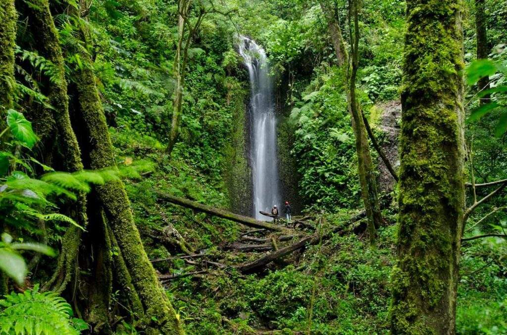 Parque Nacional La Amistad