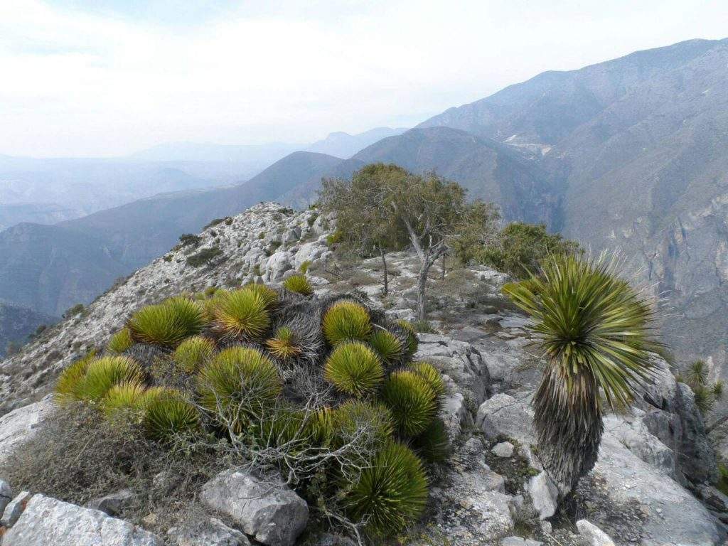 Parque Nacional Los Mármoles