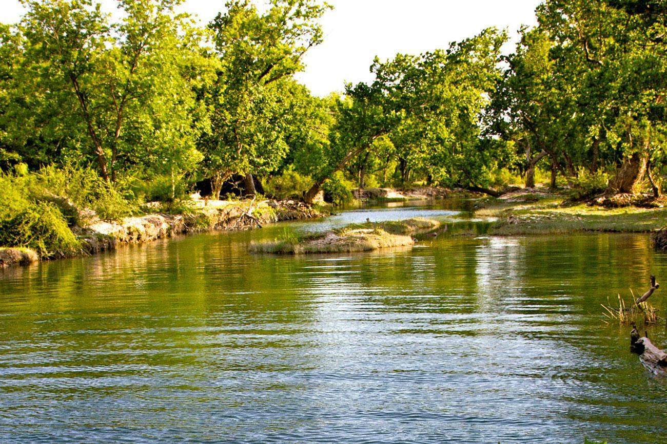 Parc national Los Novillos