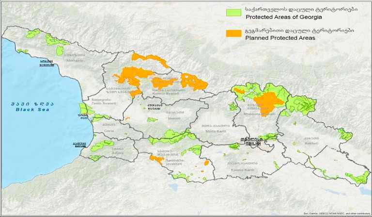 Mapa de Parques Nacionales de Georgia (país) y áreas protegidas