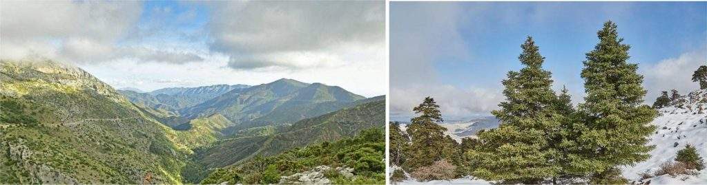 Mejor época para visitar Sierra de las Nieves