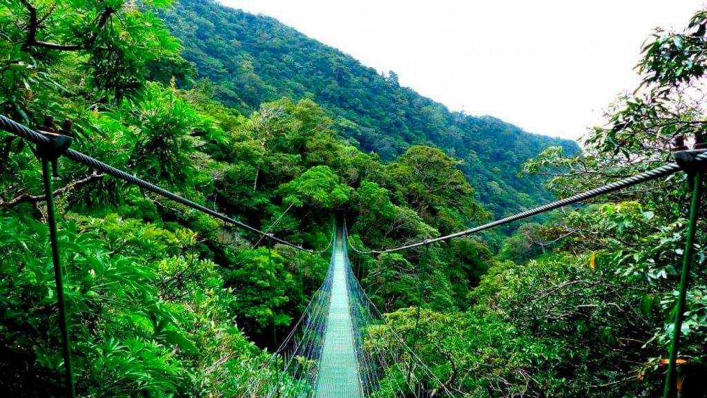 Parque Nacional Miravalles-Jorge Manuel Dengo