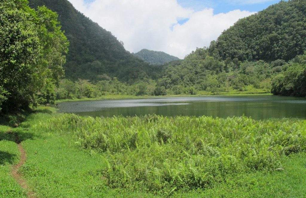 Parque Nacional Monte Ntringui