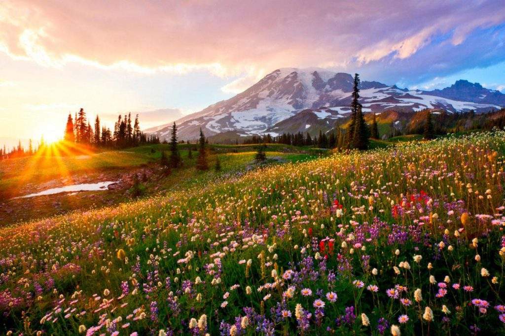 Parque Nacional del Monte Rainier