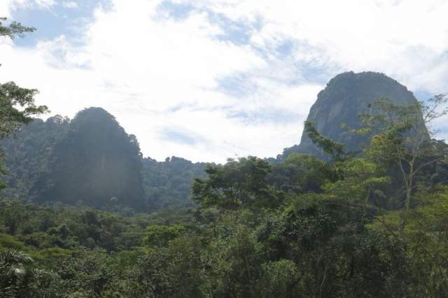 Parque Nacional Bakossi