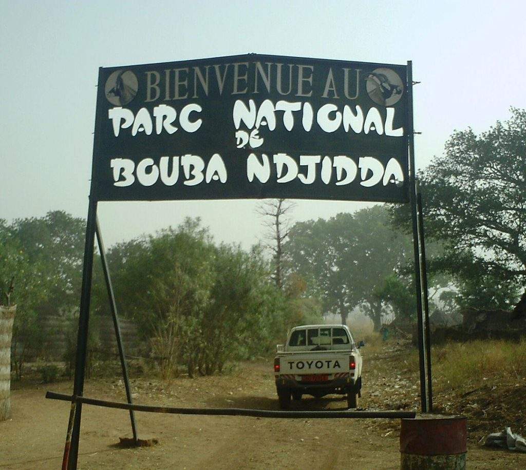 Parque Nacional Bouba Ndjida: guía completa del encanto salvaje de África