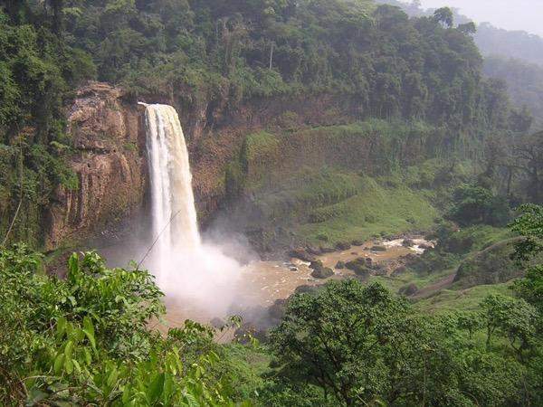 Parque Nacional de Douala-Edéa