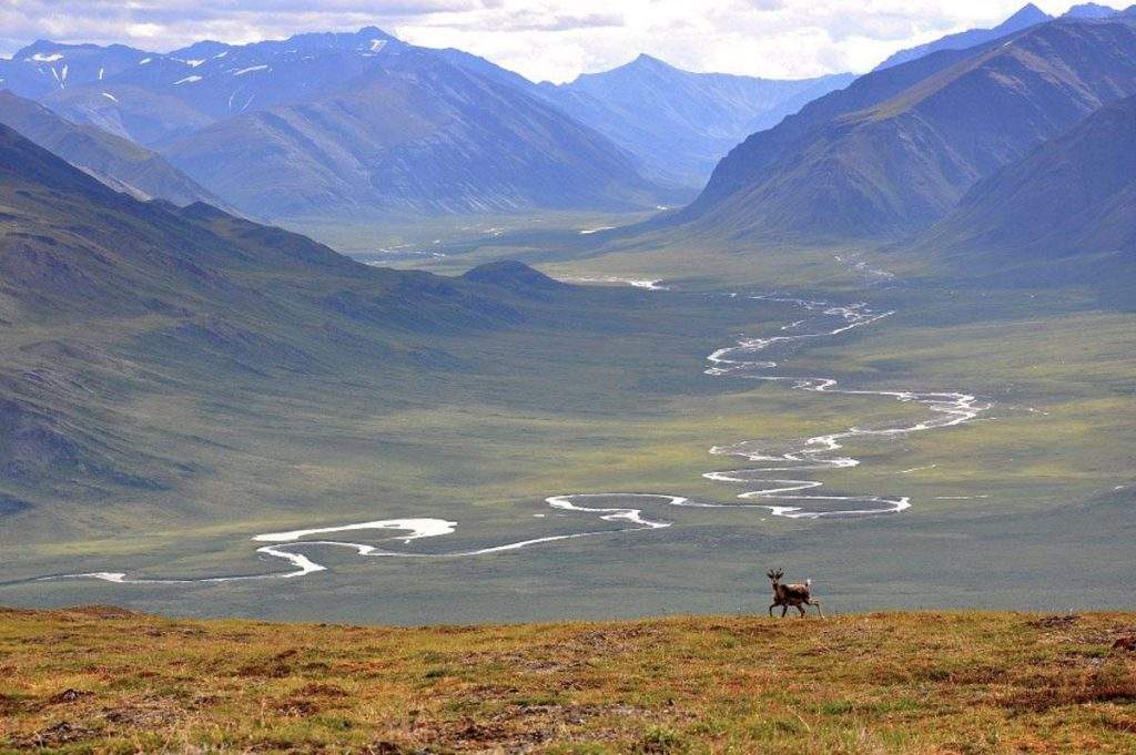 Parque Nacional y reserva Puertas del Ártico