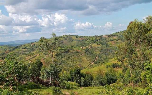 Parque Nacional Kibira