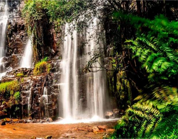 Parque Nacional Kibira