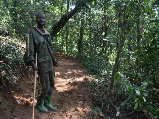 Parque Nacional Kibira