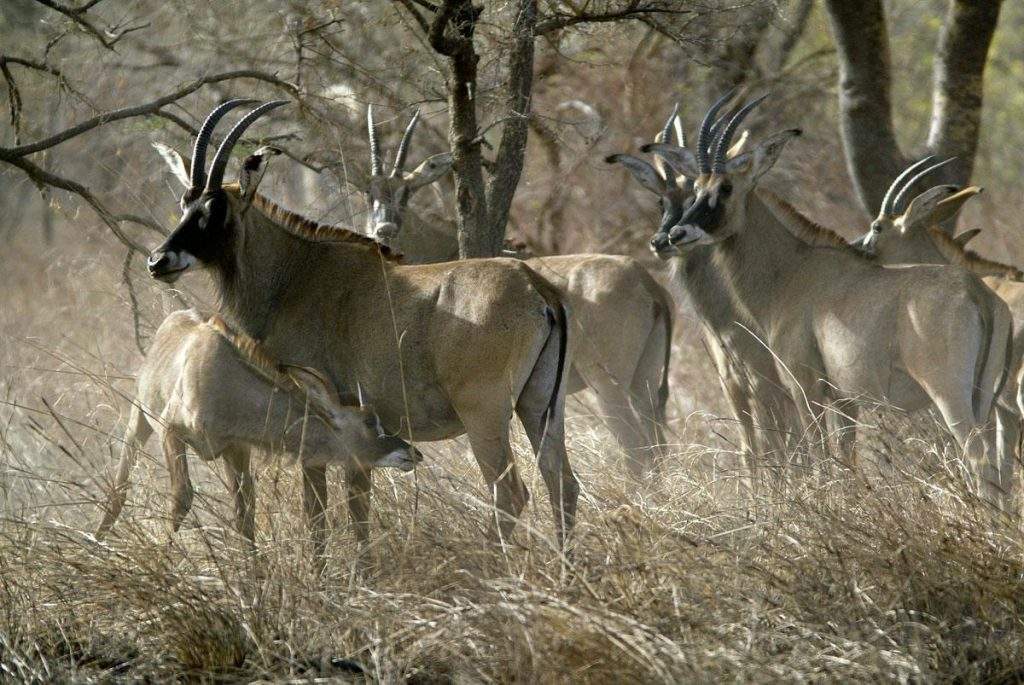 Parque Nacional Manda