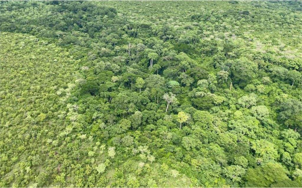 Parque Nacional Mbaéré Bodingué