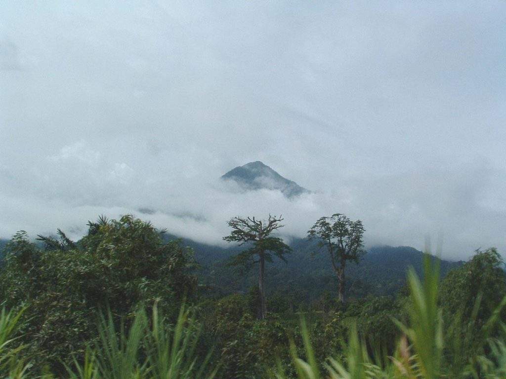 Parque Nacional de Mount Cameroon